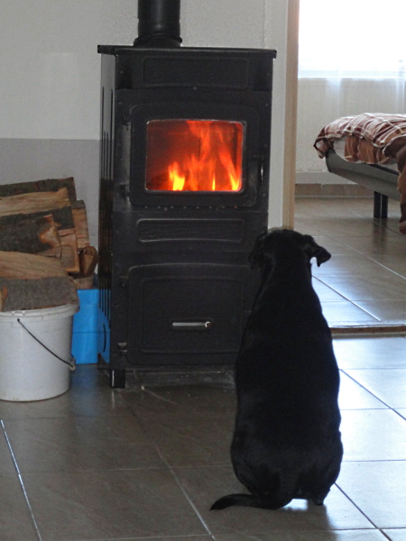 Mit einem Kamin ist es nicht nur im Winter, sondern auch in Krisenzeiten immer schön warm