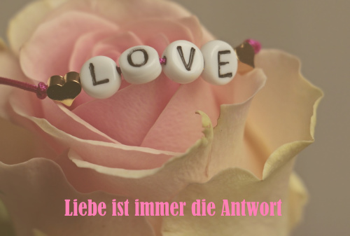 Willst du Frieden? 
Liebe ist immer die Antwort!